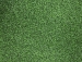 detail_9_Putting_Green_47-1.JPG