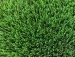 detail_10_ArificialTurfMemory84-1.jpg