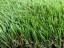 Artificial Grass Memory 50