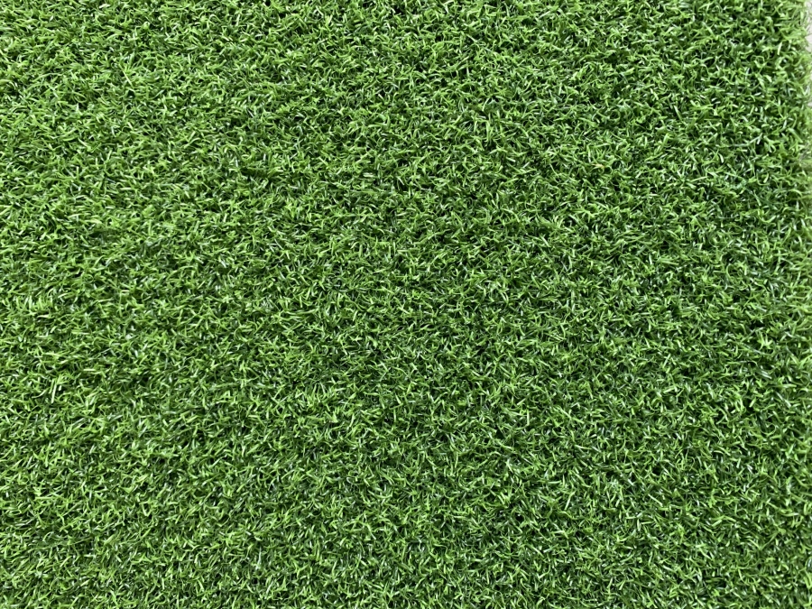 Artificial Grass Eagle Putt 44